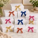 Caixa de Presente 25x20x8cm com Fita de Cetim - Kit 10 Caixas