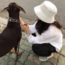 Chapéu de Verão Unissex de Verão Minimalista