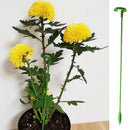 Hastes para Suporte de Plantas de Jardim | LeafLift