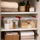 
Kit 2 Caixas Organizadoras Transparentes com Tampa Multiuso | OrganizaBox
