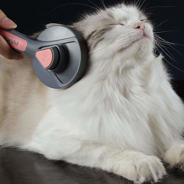 Escova Para Gatos | Especial Pets