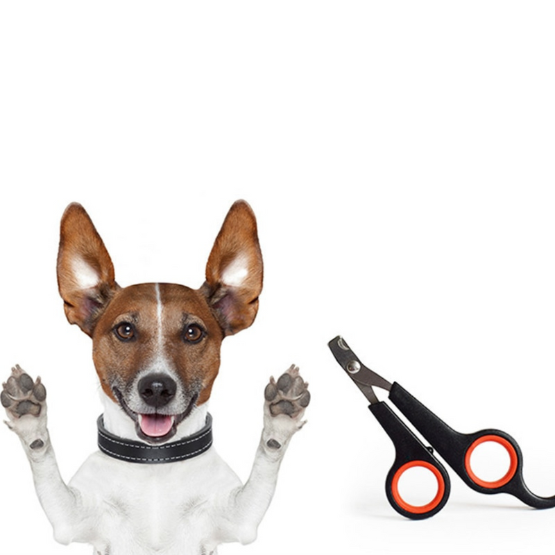 Cortador de Unhas Profissional para Pets | Nail Cut