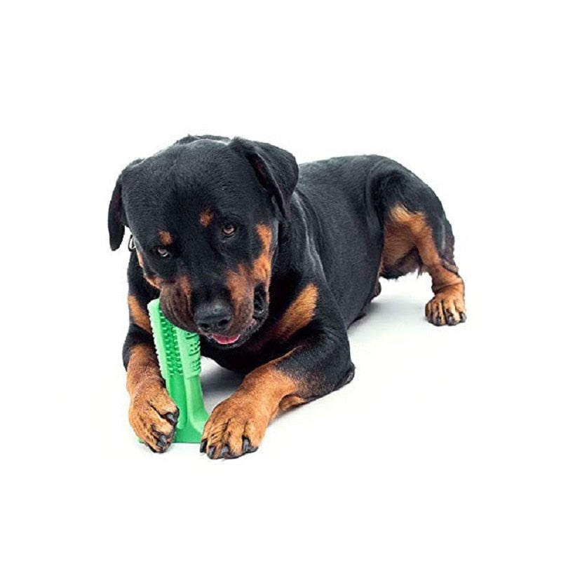 Mordedor e Escova de Dentes para Cães | Clean Pet Teeth